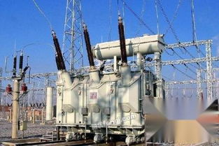 浏家港 高效回收厂房废旧物资，让有色金属与废旧金属重获新生